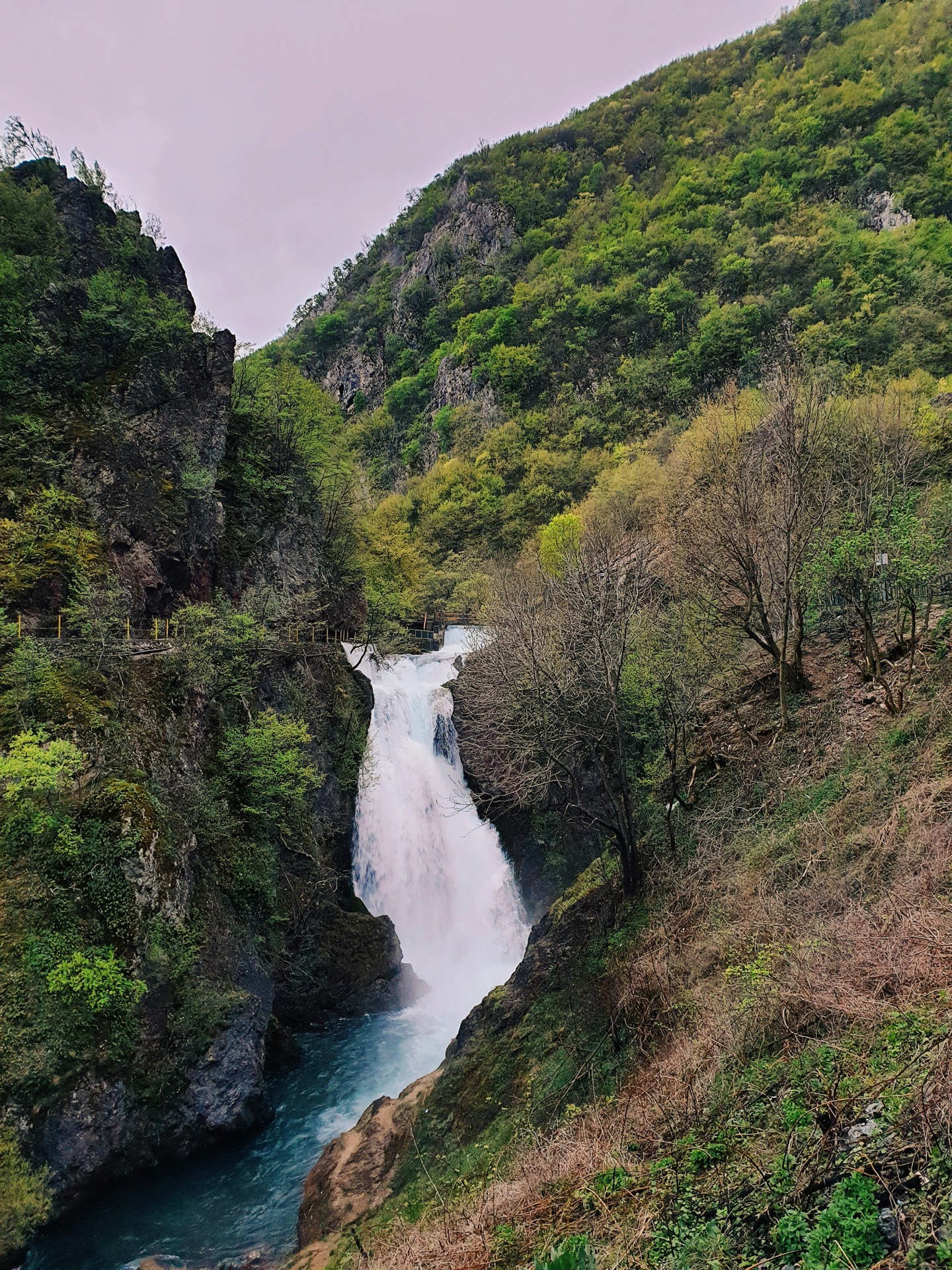 Drini i Bardhë